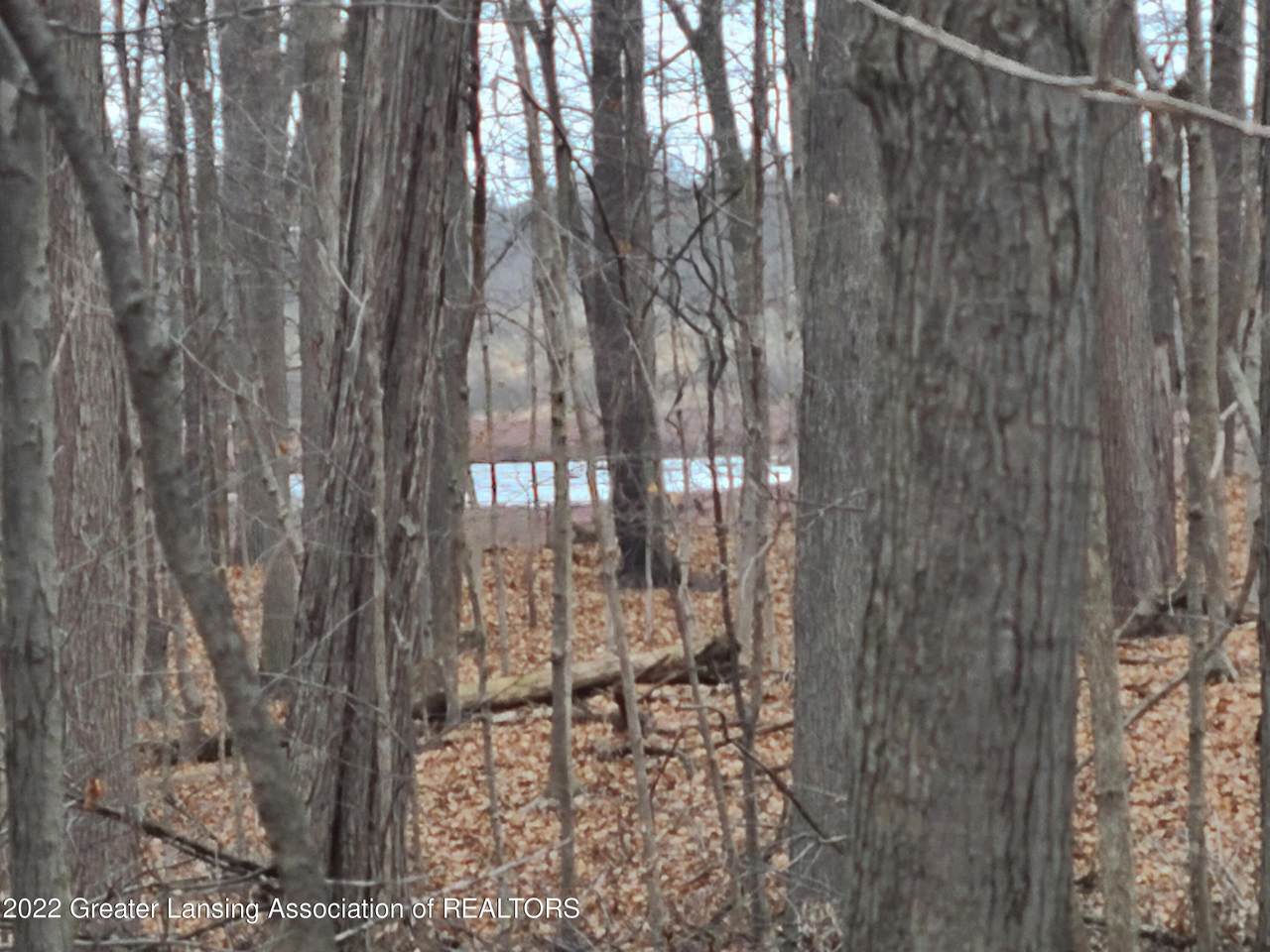 7450 Lacey Road - Photo 1