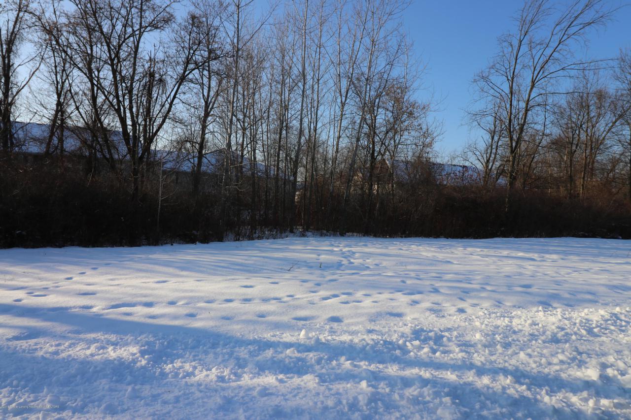 4320 Ringneck Lane - Photo 1