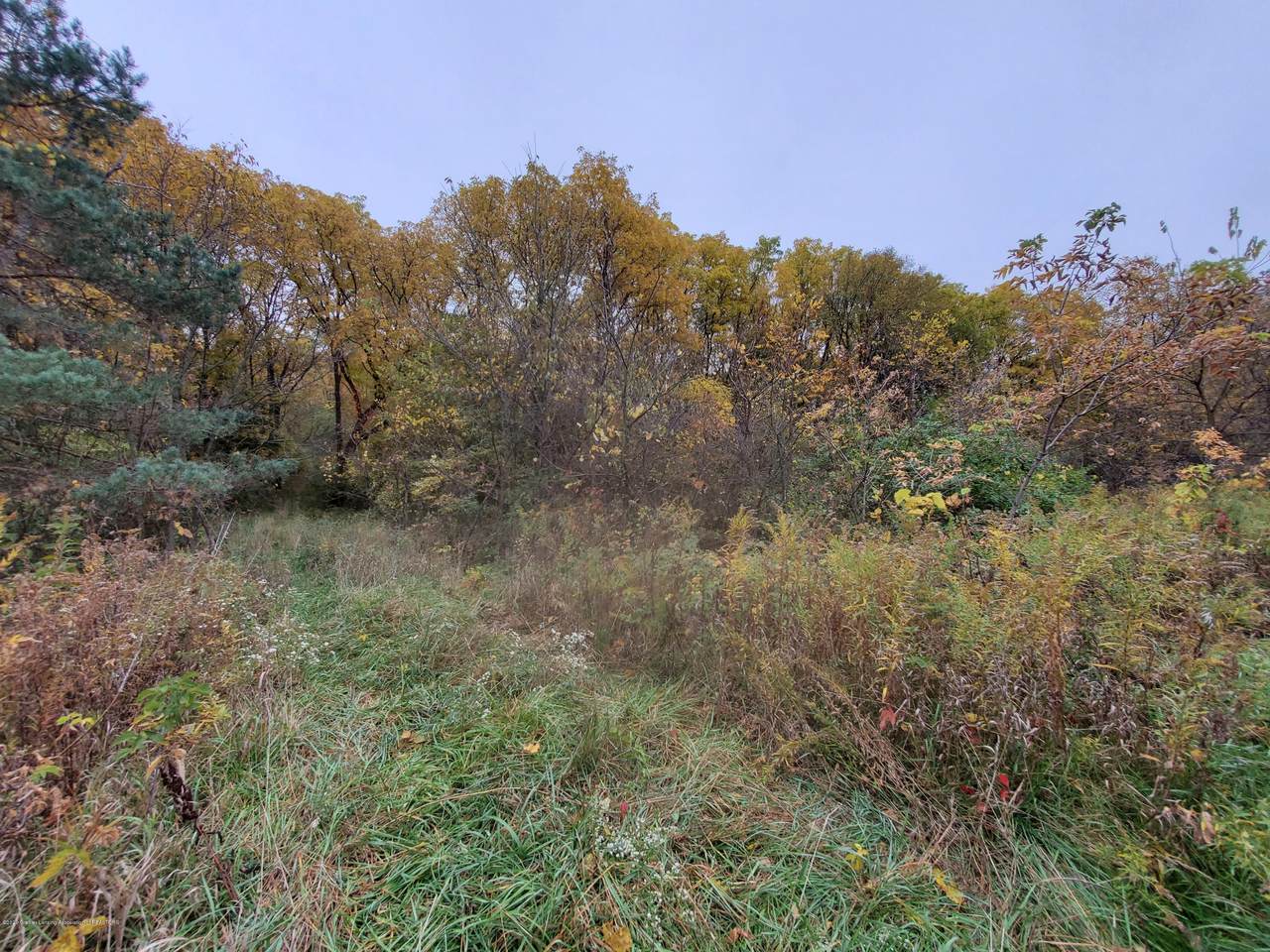 0 Otto Road - Photo 1
