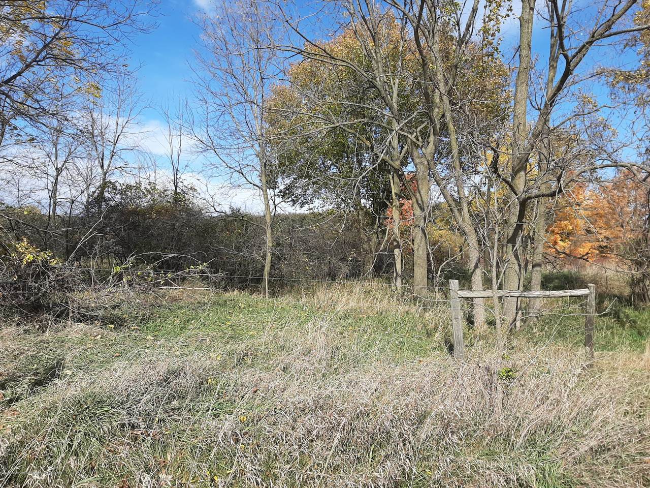 0 Island Road - Photo 1