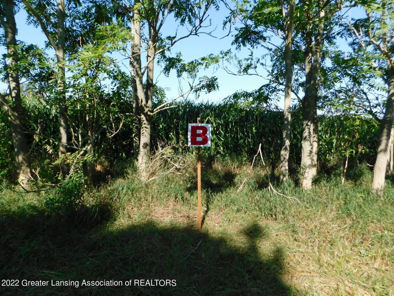 B Ives Road - Photo 1