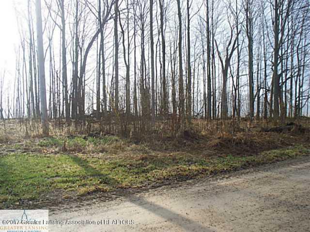 Lot #3 Sherman Road - Photo 1