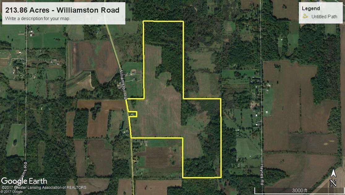 Vl Williamston Road - Photo 1