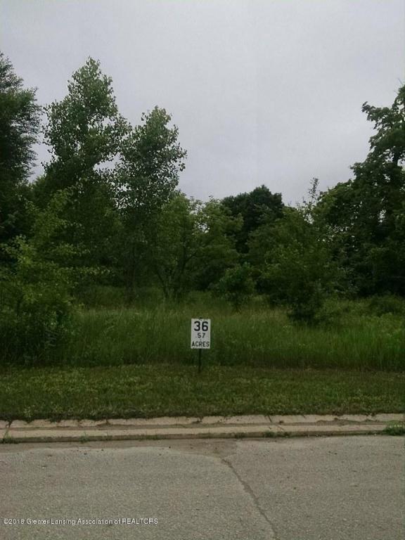 Lot 36 Highland Court - Photo 1