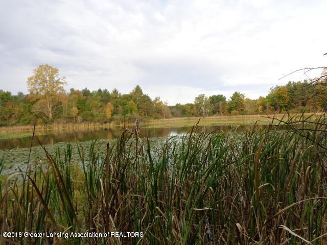 5885 Herbison Road - Photo 1
