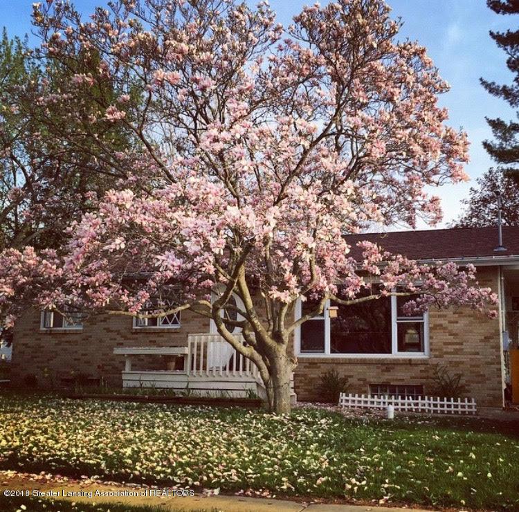 340 Edwards Street - Photo 1