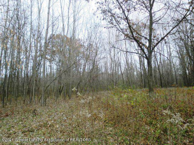 0 Meridian Road - Photo 1