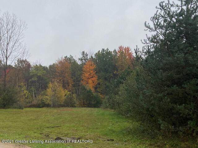 13851 Chapin Road - Photo 1
