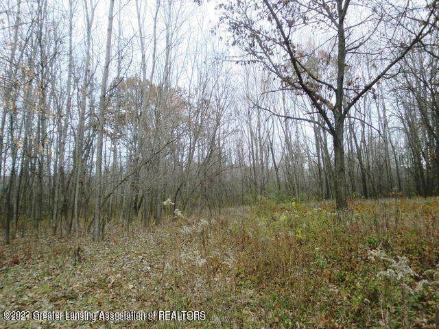 0 Meridian Road - Photo 1