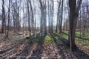 Lot 17 Ramparte Path - Photo 1