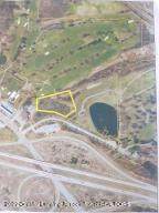 V/L Tully Brown Drive - Photo 1