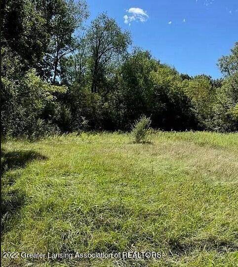 B1 County Line Road - Photo 1