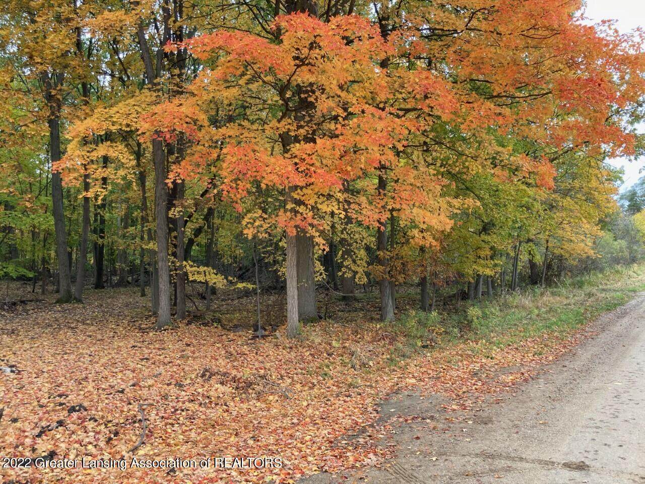 0 Maple Rapids Road - Photo 1