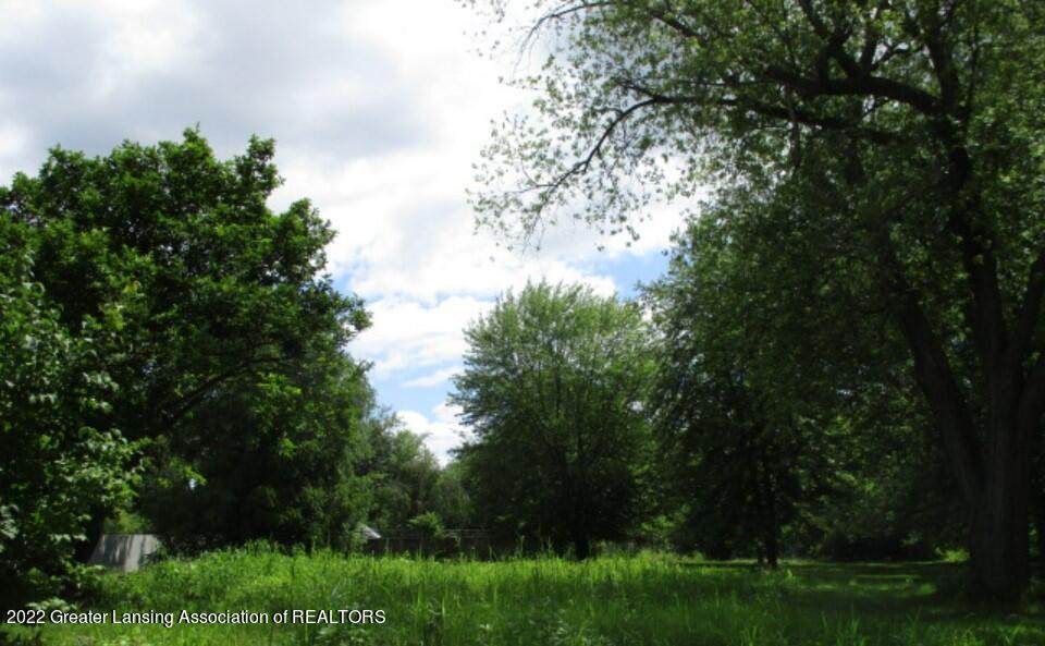 V/L Viking Road - Photo 1