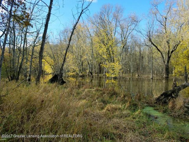 0 Island Road - Photo 1