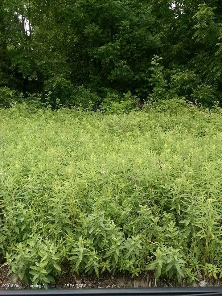 Lot 14 Highland Court - Photo 1