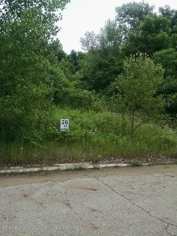 Lot 26 Jacob Court - Photo 1