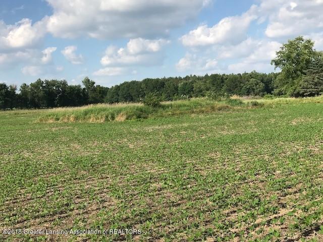 0 Mcclellan Road - Photo 1