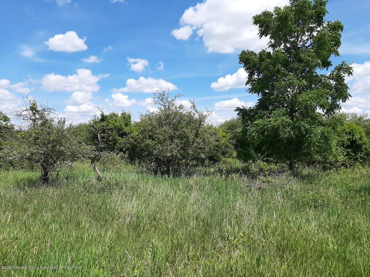 7010 Johnathan Court - Photo 1