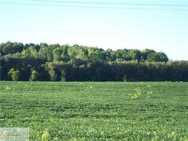 1000 Price Rd Street - Photo 1
