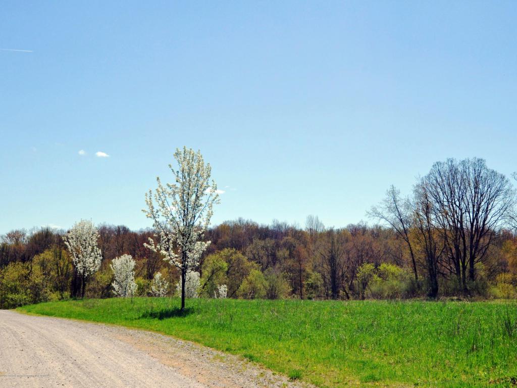 10 Tamarack Trail - Photo 1