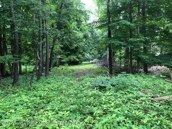0 Driftwood Drive - Photo 1