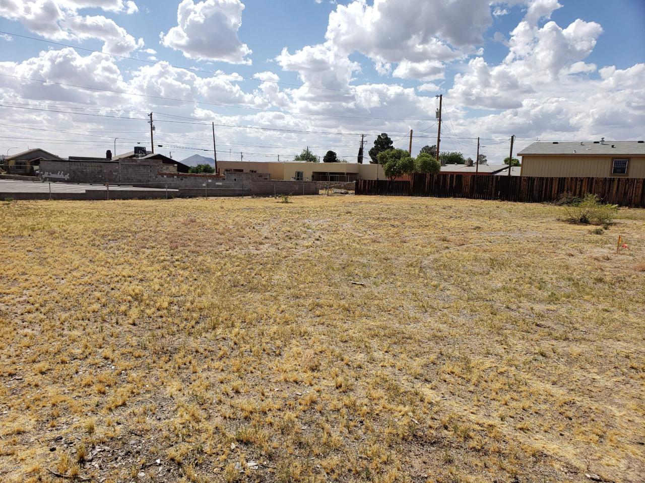 1521 Tornillo Street - Photo 1