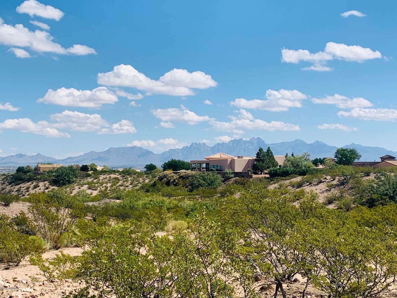6708 Desert Blossom Road - Photo 1