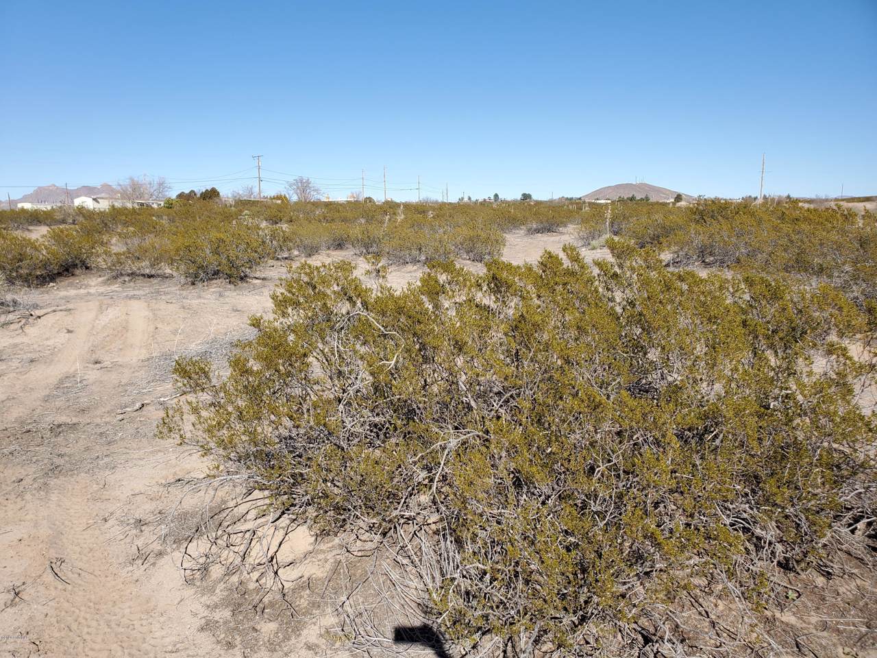 1574 Pelicano Trail - Photo 1