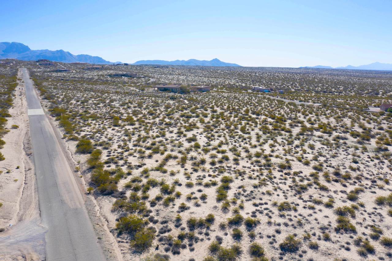 00000 Thomas Moran Road - Photo 1