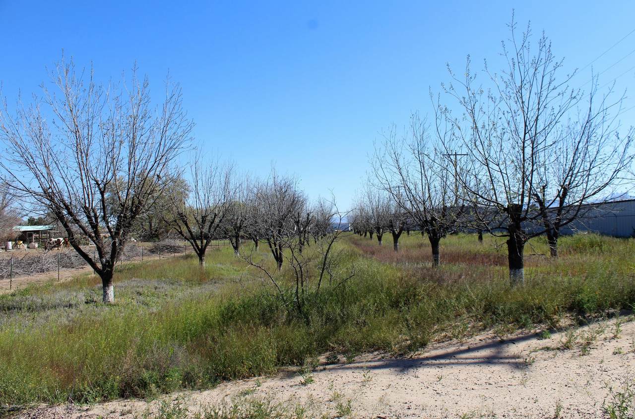 410 Old Highway 292 - Photo 1