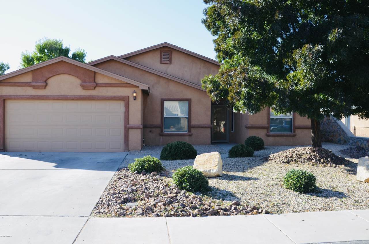 4451 Camino Dos Vidas - Photo 1