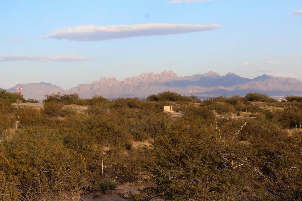 1312 Puerta Vieja Place - Photo 1