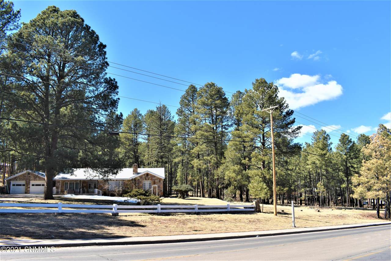 603 Mechem Drive - Photo 1