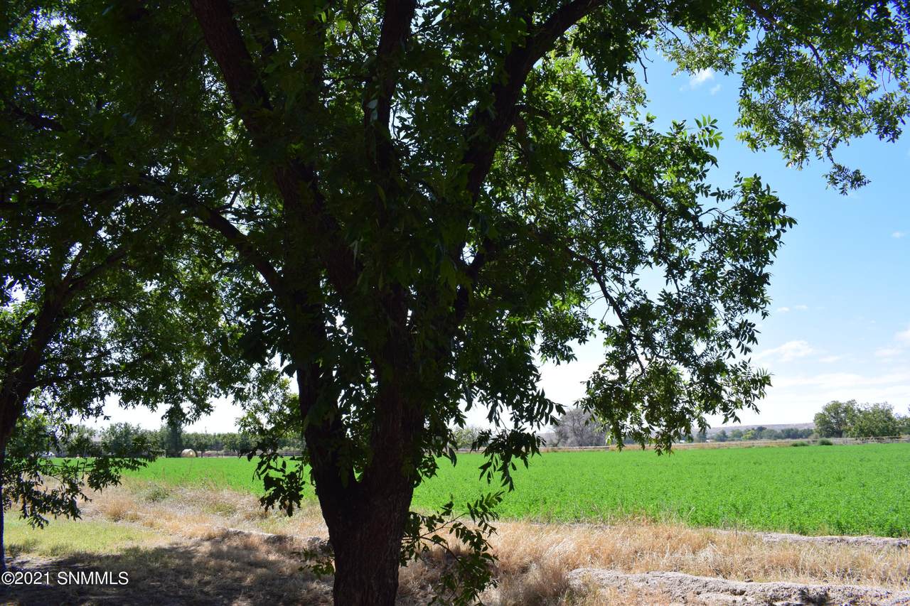 2098 Ohara Road - Photo 1