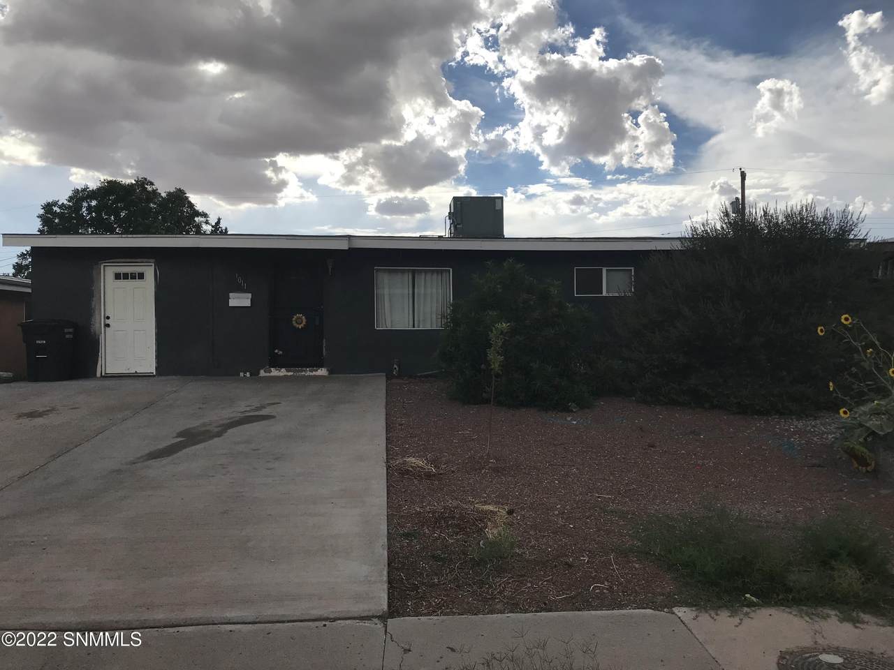 1011 Bellamah Drive - Photo 1