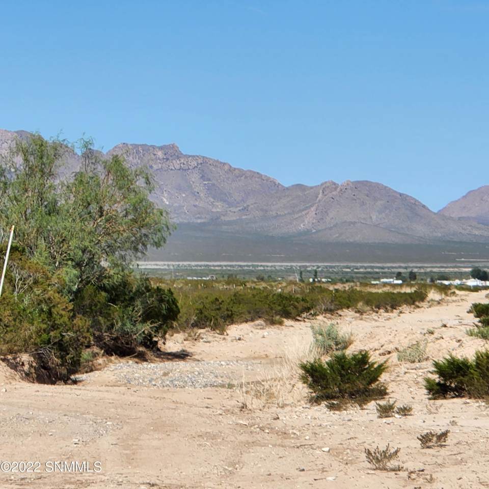 9245 Rabbit Run Road - Photo 1