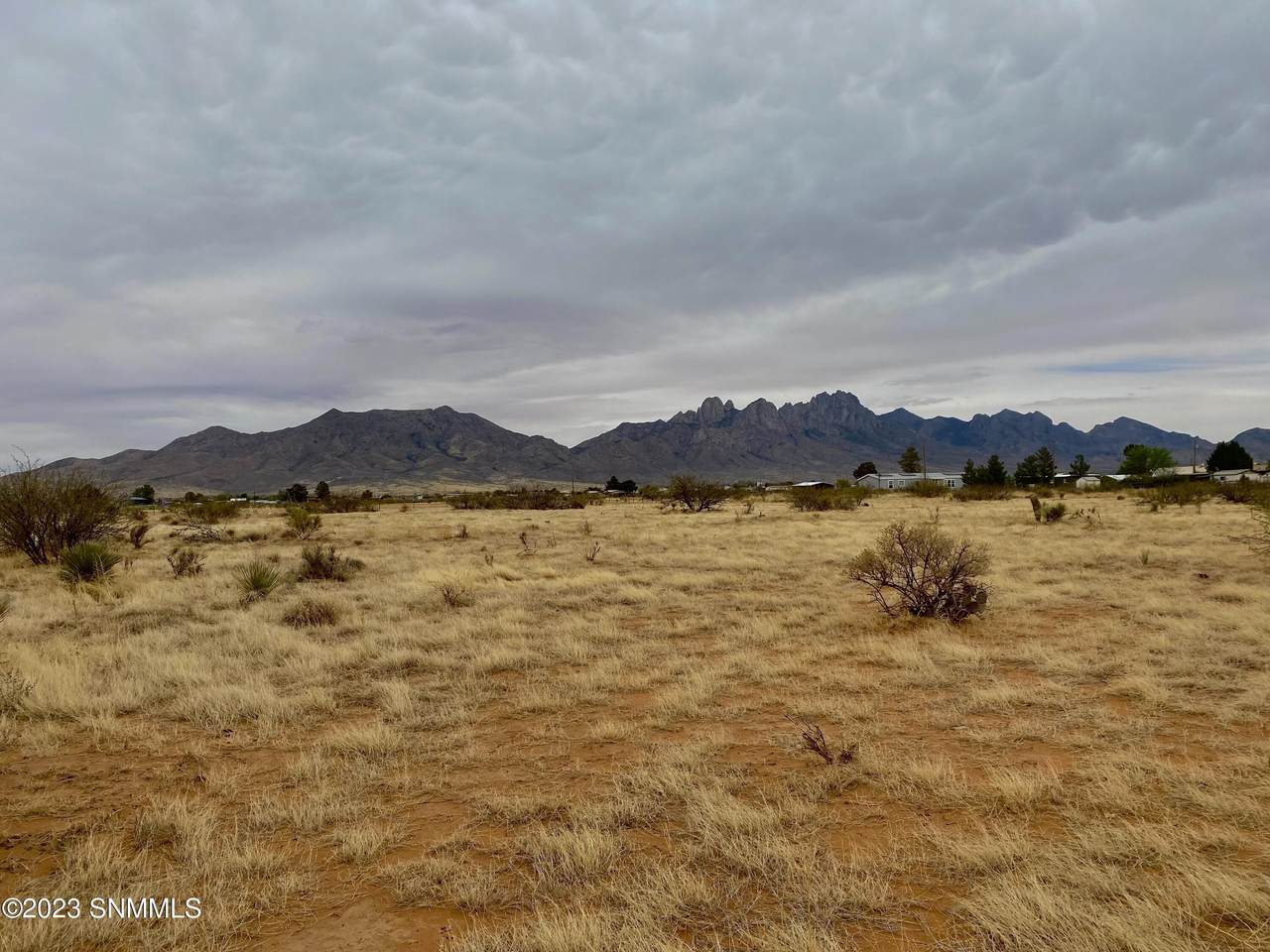 7644 Kings Road - Photo 1