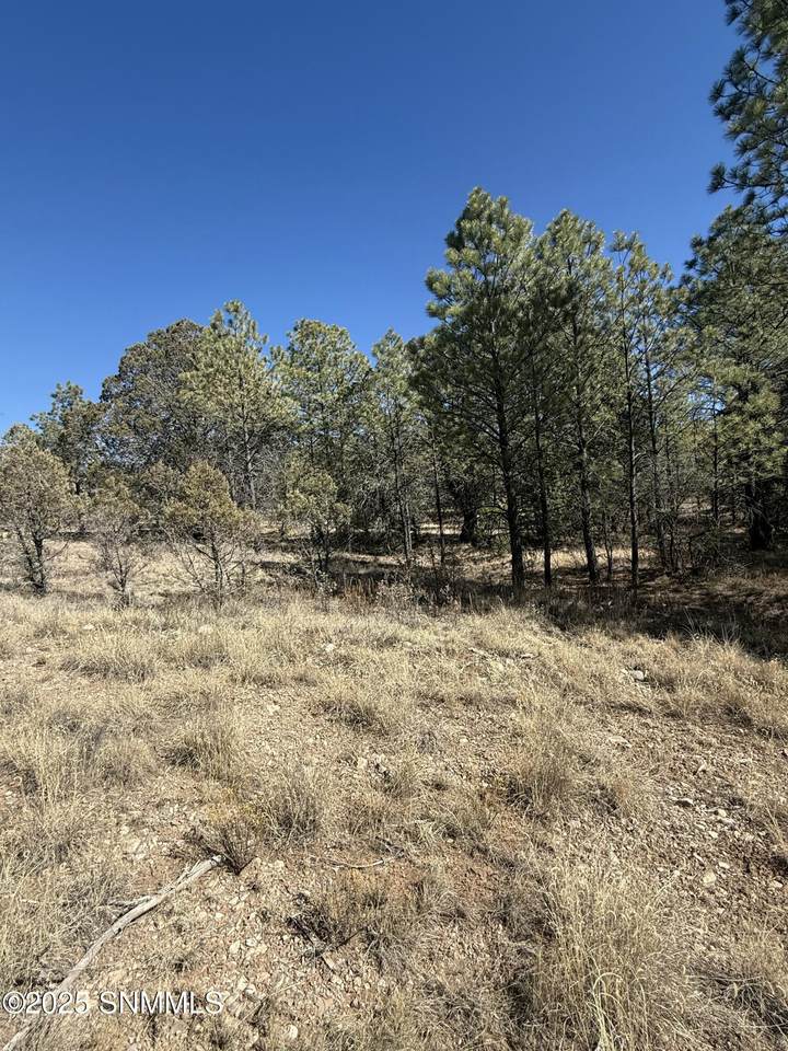 https://bt-photos.global.ssl.fastly.net/lascruces/1280_boomver_1_2500508-2.jpg