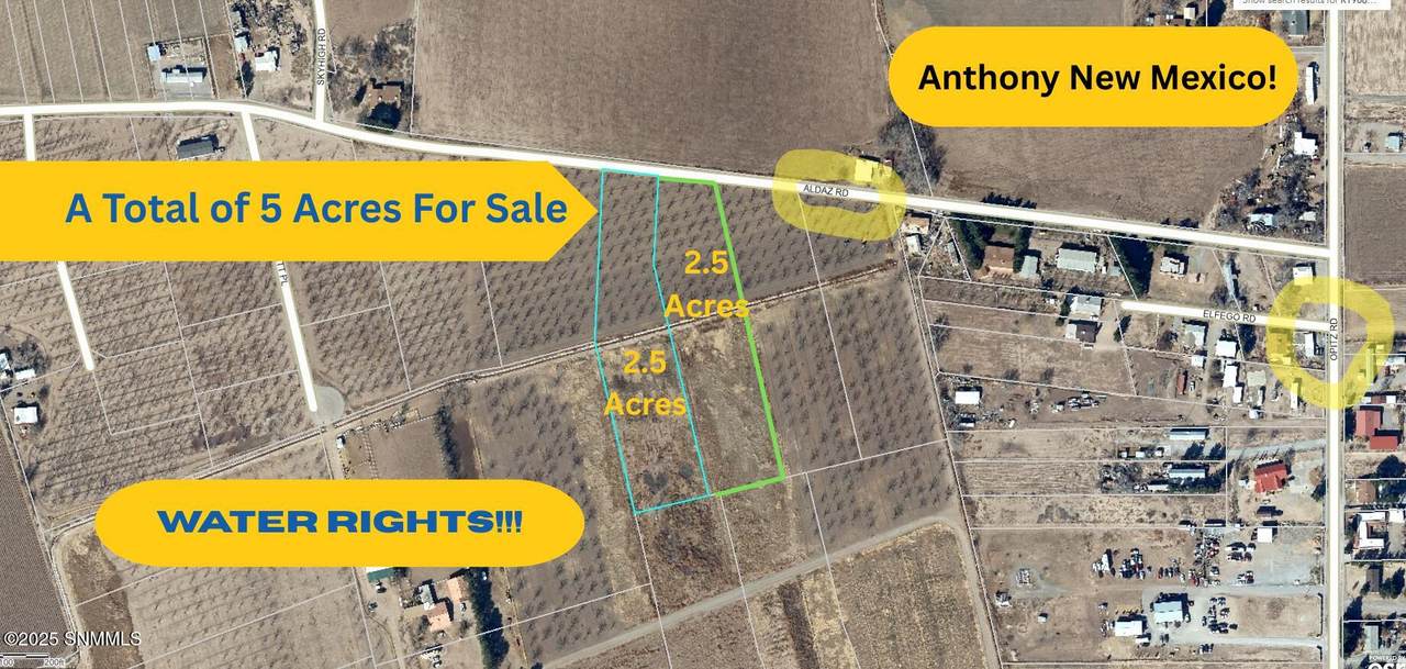 557 Aldaz Road - Photo 1