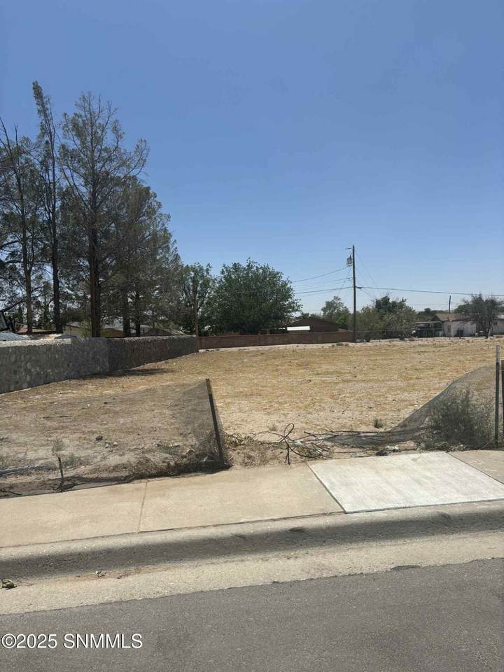 1825 Elder Street - Photo 1