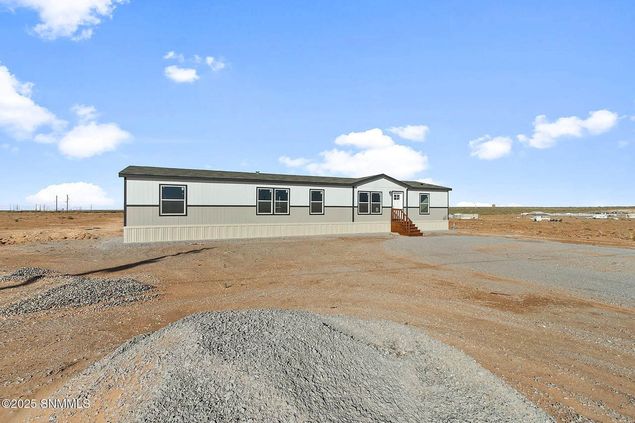 1377 Syrian Desert Drive - Photo 1