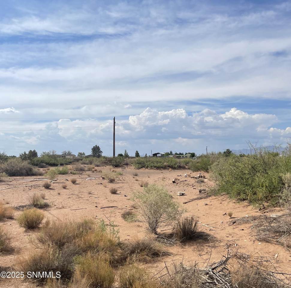 1770 Hatch Highway - Photo 1