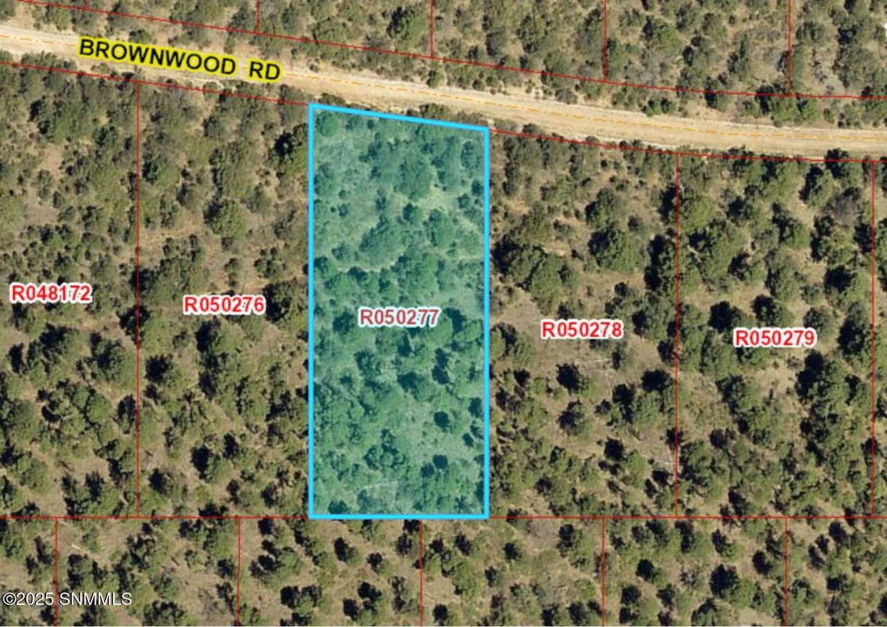 68 Brownwood Road - Photo 1