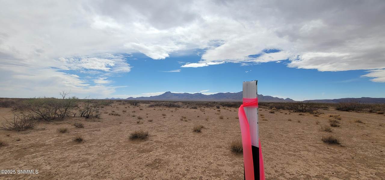 https://bt-photos.global.ssl.fastly.net/lascruces/1280_boomver_1_2502706-2.jpg