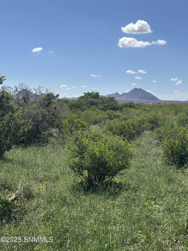 https://bt-photos.global.ssl.fastly.net/lascruces/1280_boomver_1_2502815-2.jpg