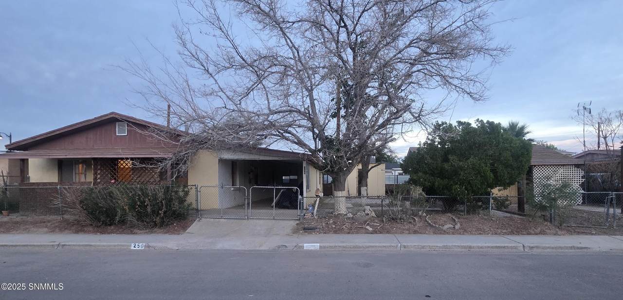 250 Martinez Street - Photo 1