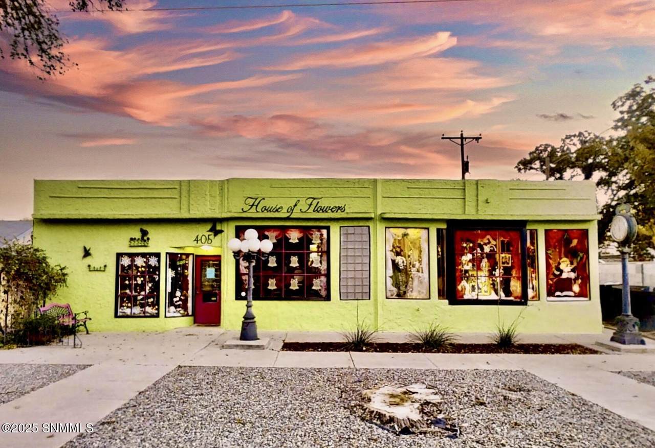 405 Alameda Street - Photo 1