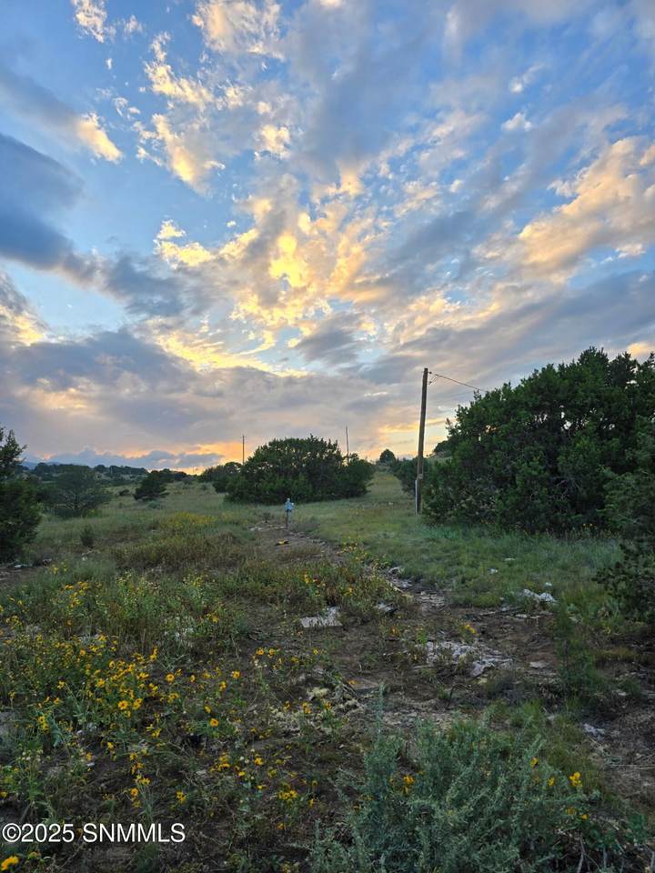 105 Antelope Trail - Photo 1