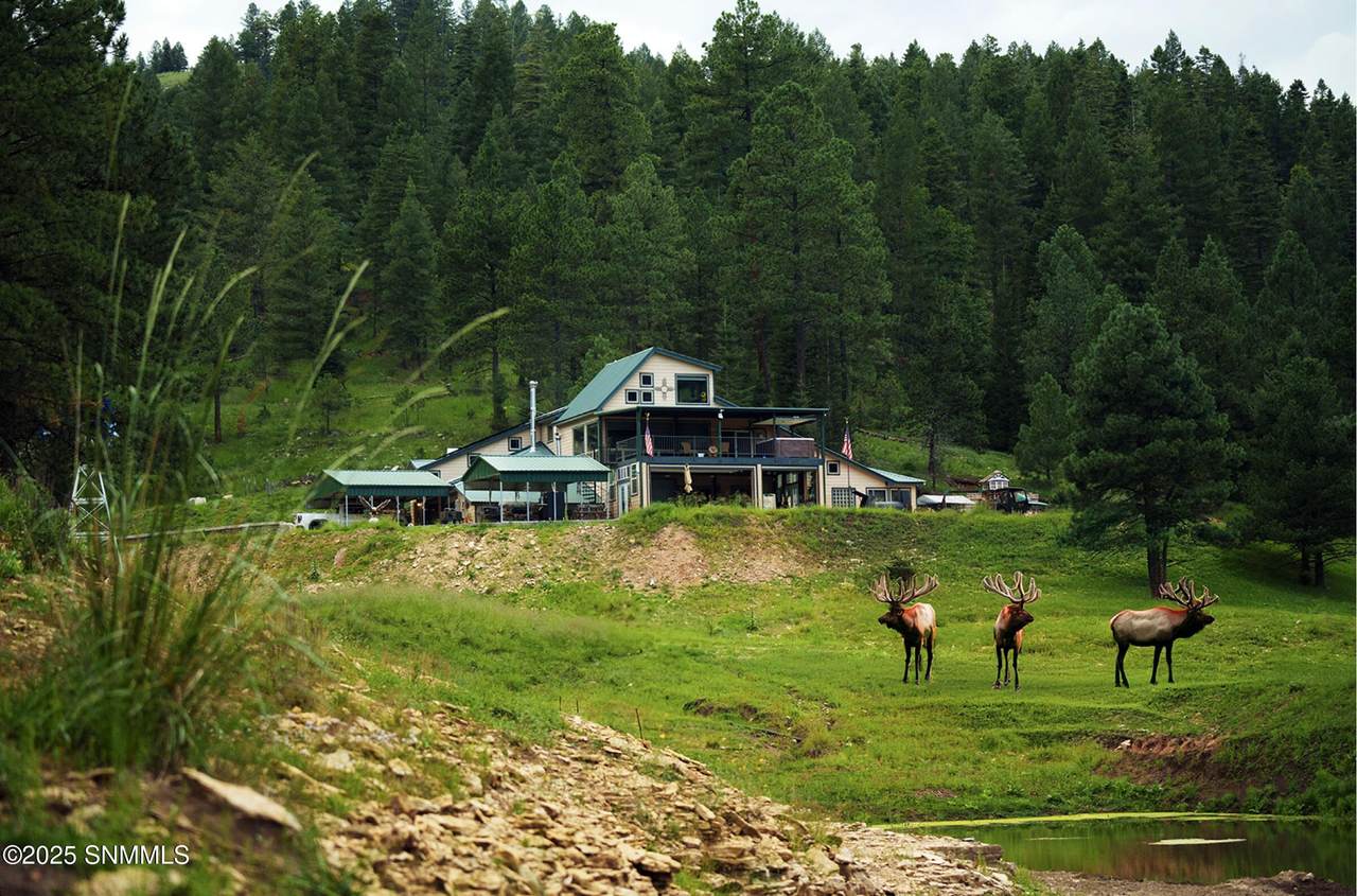 86 Telephone Canyon Road - Photo 1